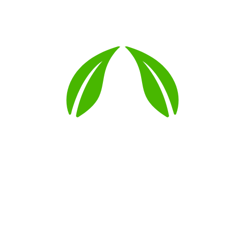 ENERGIA VEGANA